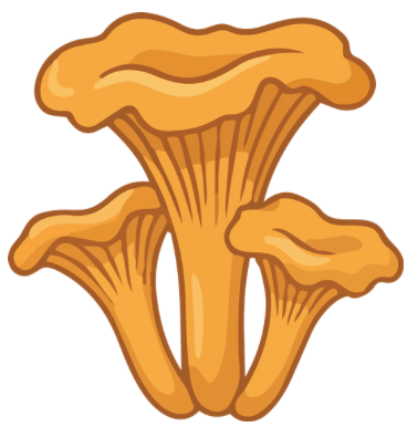 kurka